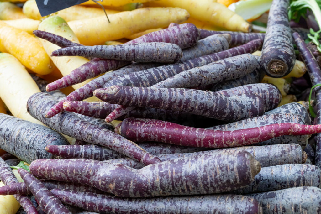Pile of purple carrots on a market stall.